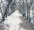 Stolanus Mayr: Ein Meister der Gartenkunst in Dachau (Foto: AdobeStock - Pabkov 217582088)