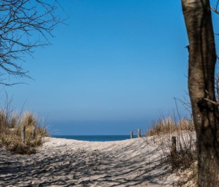 Ostseeheilbad Graal-Müritz . Impression . 2. internationales (Foto: Ali Ghandtschi)